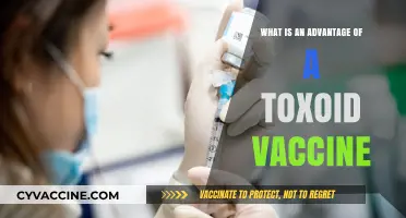 Toxoid Vaccines: Unlocking Long-Term Immunity Against Deadly Bacterial Toxins