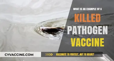 Understanding Killed Pathogen Vaccines: A Real-World Example Explained