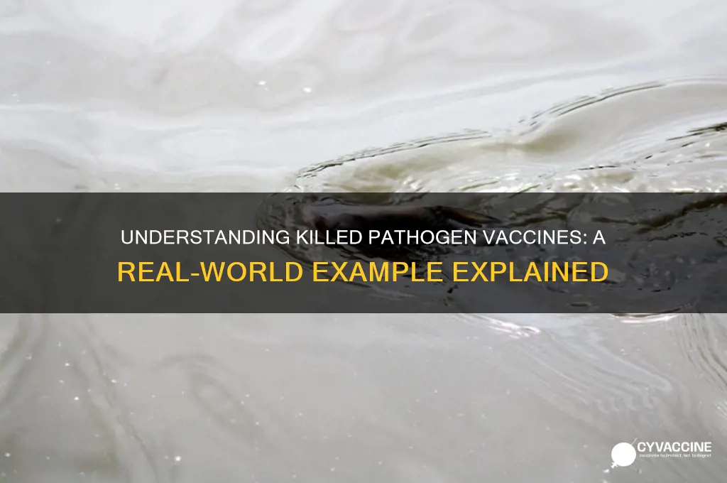 what is an example of a killed pathogen vaccine