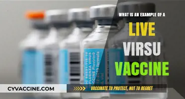 Live Virus Vaccines: Understanding Their Role and Real-World Examples