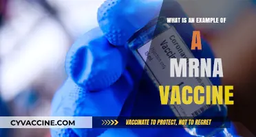 Understanding mRNA Vaccines: A Real-World Example Explained Simply