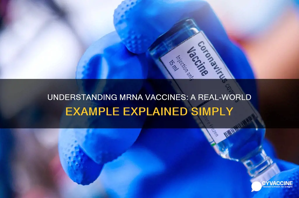 what is an example of a mrna vaccine