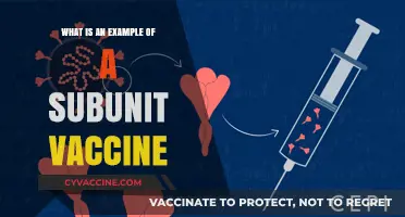 Understanding Subunit Vaccines: A Key Example and Its Benefits