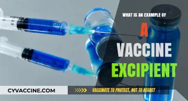 Understanding Vaccine Excipients: A Common Example Explained Simply