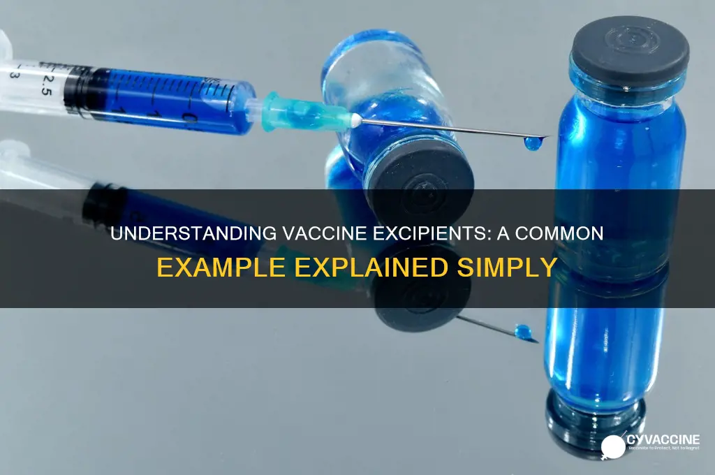 what is an example of a vaccine excipient