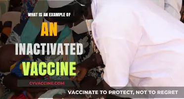 Understanding Inactivated Vaccines: A Key Example and Its Benefits