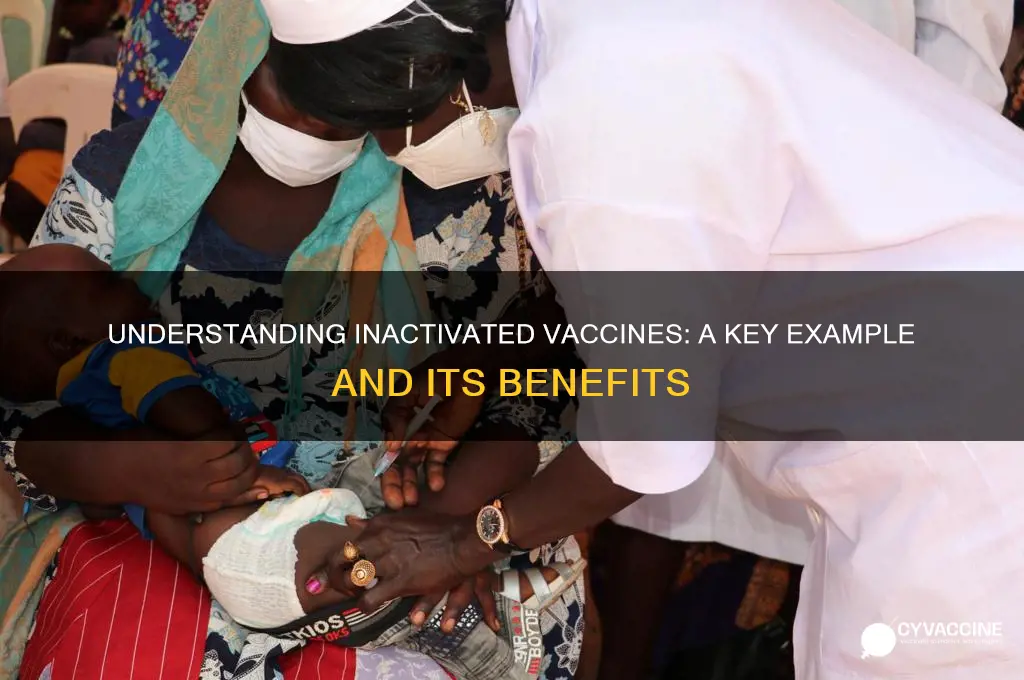 what is an example of an inactivated vaccine