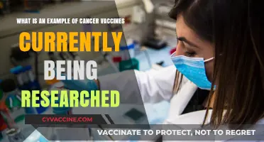 Innovative Cancer Vaccines: Current Research and Promising Developments