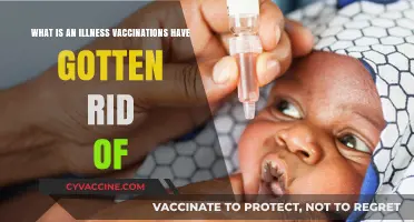 Vaccination Victories: Eradicated Diseases and Their Impact on Global Health