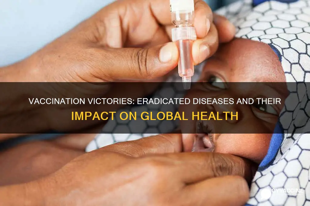 what is an illness vaccinations have gotten rid of