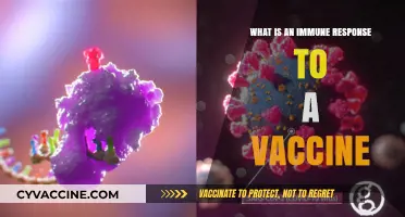 Understanding the Immune Response: How Vaccines Trigger Protection