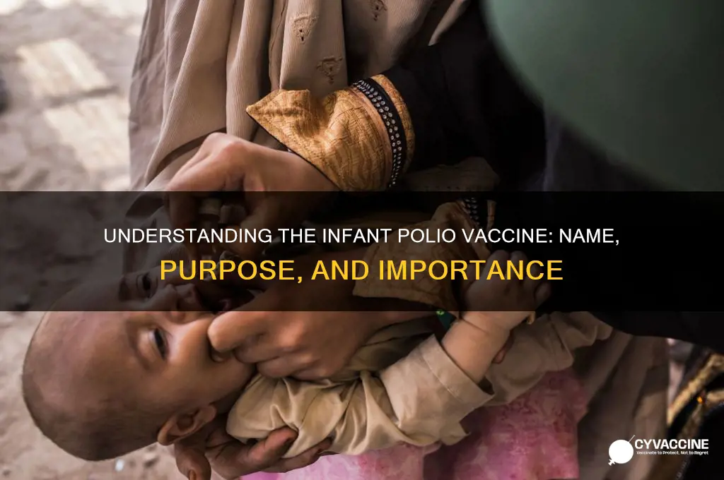 what is an infant