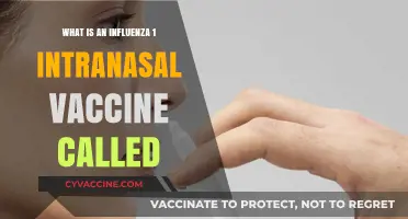 Understanding the Intranasal Influenza Vaccine: Its Name and Benefits