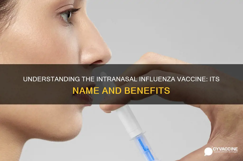 what is an influenza 1 intranasal vaccine called