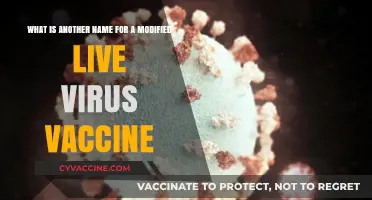 Modified Live Virus Vaccines: Alternative Names and Key Insights