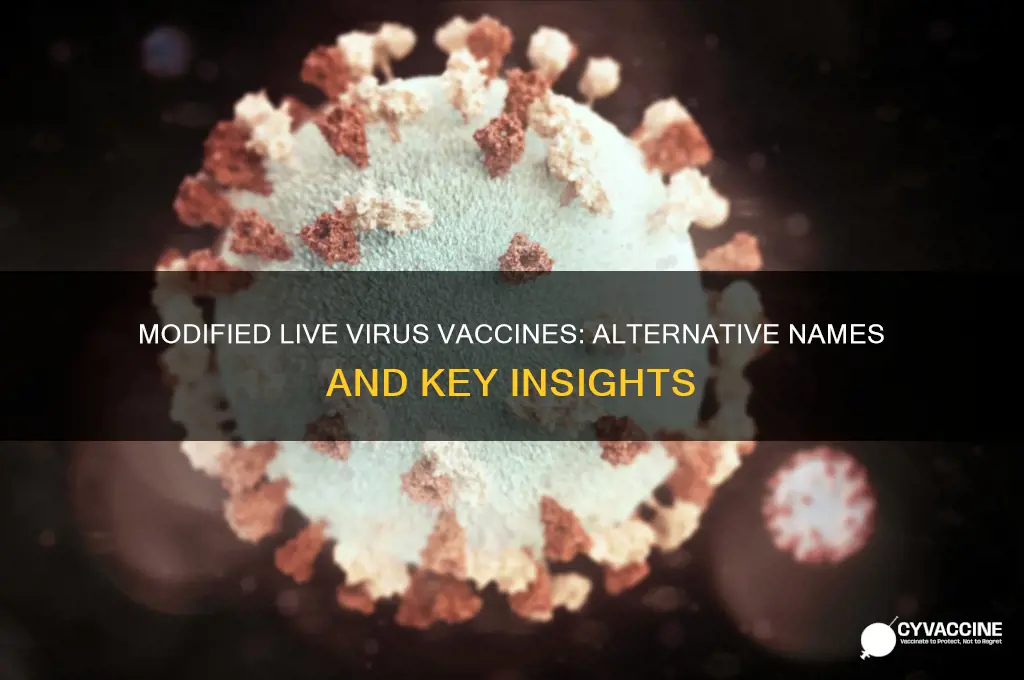 what is another name for a modified live virus vaccine