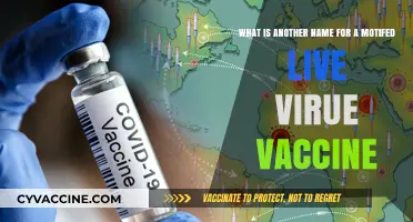 Motif-Enhanced Live Virus Vaccines: Alternative Names Explained