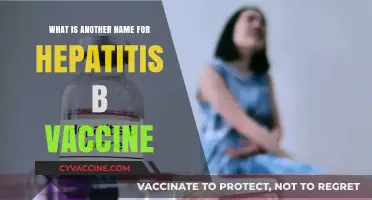 Alternative Names for the Hepatitis B Vaccine: A Comprehensive Guide