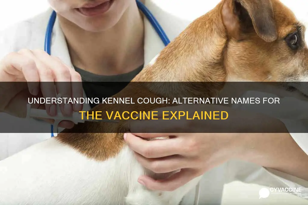 what is another name for kennel cough vaccine