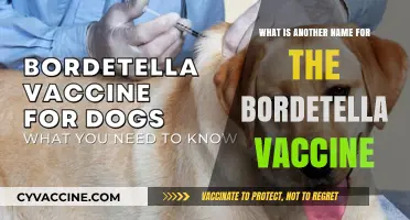 Understanding Bordetella Vaccine: Alternative Names and Common Uses Explained