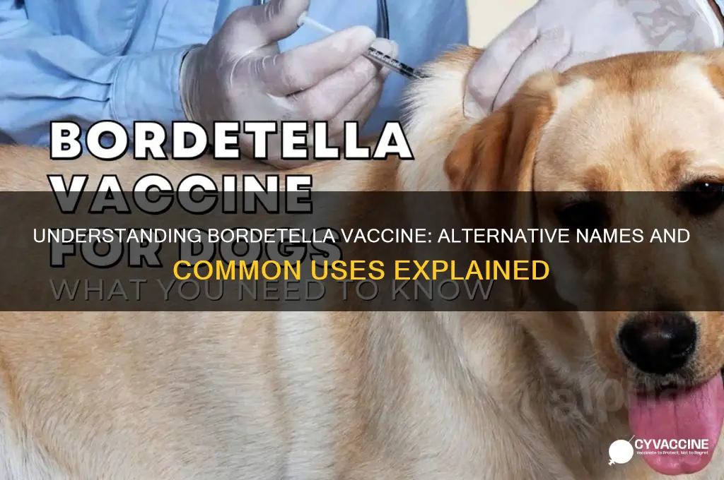 what is another name for the bordetella vaccine
