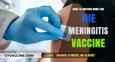 Alternative Names for the Meningitis Vaccine: A Quick Guide