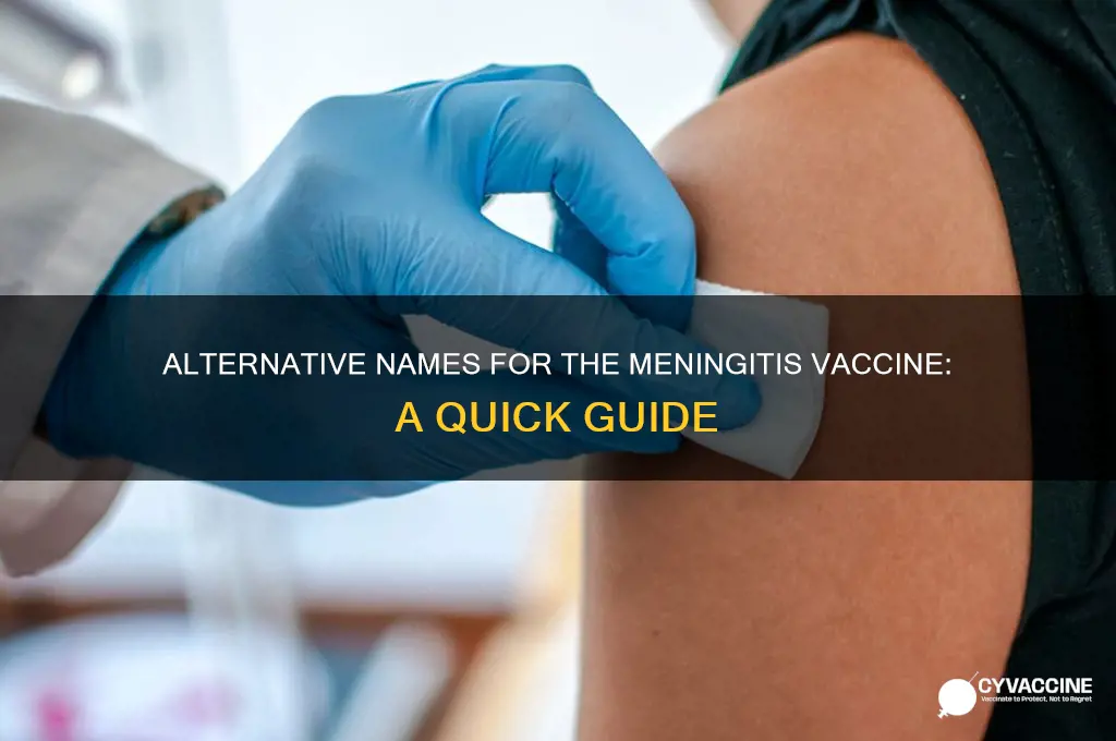 what is another name for the meningitis vaccine
