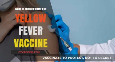 Alternative Name for Yellow Fever Vaccine: What You Need to Know