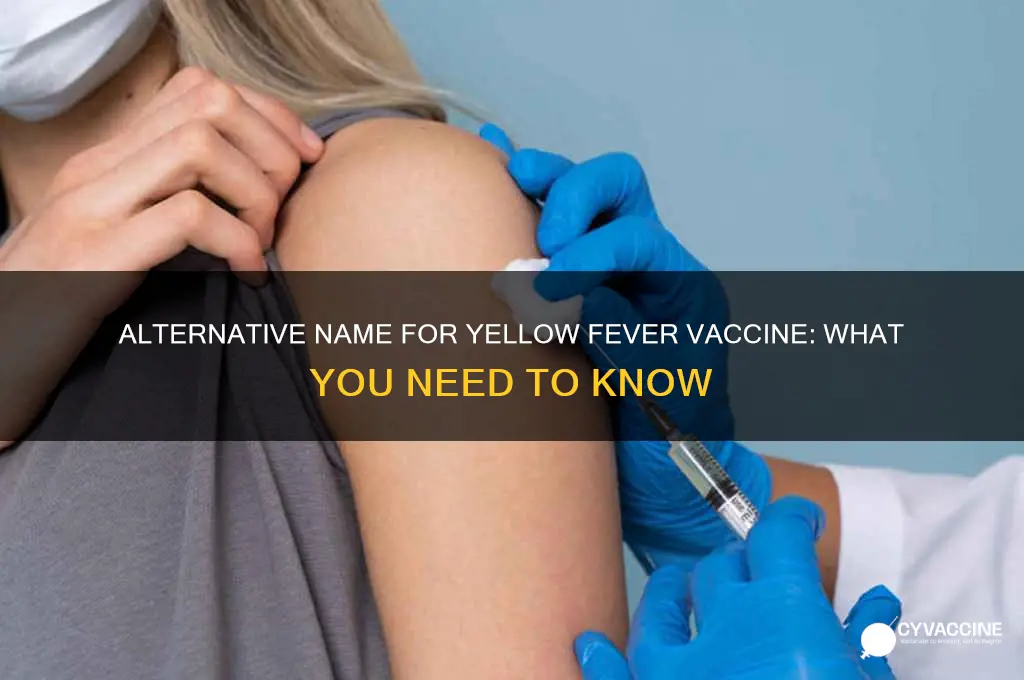 what is another name for yellow fever vaccine
