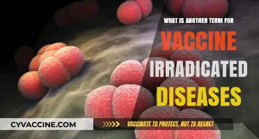 Vaccine-Eliminated Diseases: Alternative Terms for Eradicated Illnesses Explained