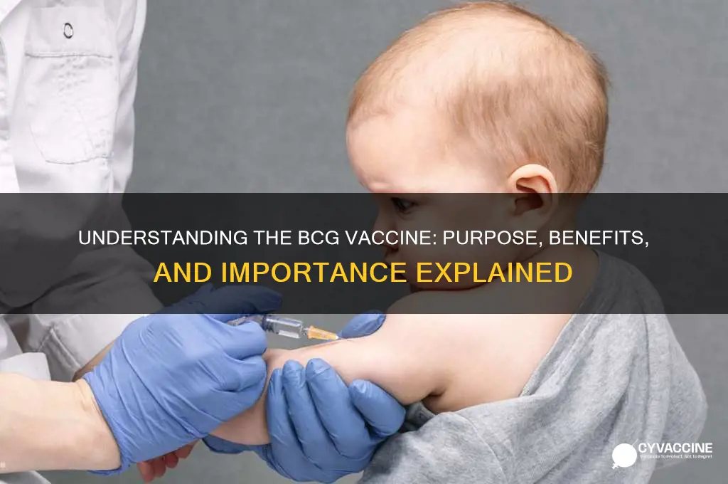 what is b c g vaccine