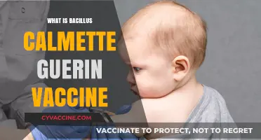 Understanding the Bacillus Calmette-Guerin (BCG) Vaccine: Uses and Benefits