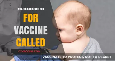 Understanding BCG: The Vaccine's Meaning and Its Global Impact