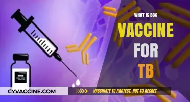 Understanding the BCG Vaccine: TB Prevention and Its Importance