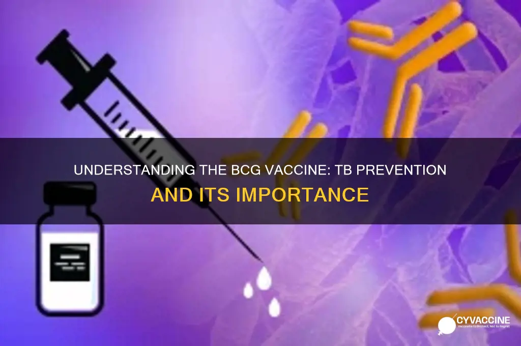 what is bcg vaccine for tb