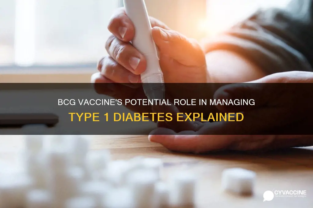what is bcg vaccine for type 1 diabetes
