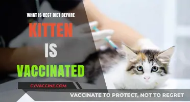Pre-Vaccination Kitten Diet: Essential Nutrition for a Healthy Start