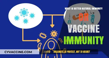Natural vs. Vaccine Immunity: Which Offers Stronger, Lasting Protection?