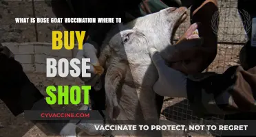Bose Goat Vaccination: Understanding Benefits, Usage, and Where to Buy Shots