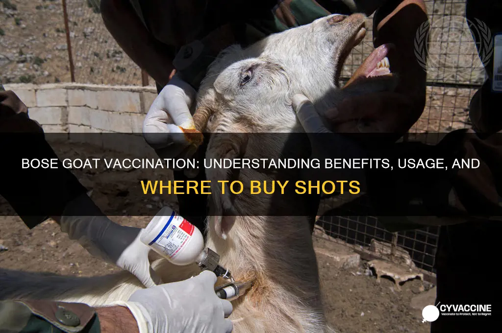 what is bose goat vaccination where to buy bose shot