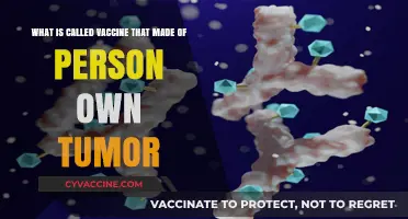 Personalized Cancer Vaccines: Using Your Own Tumor to Fight Disease