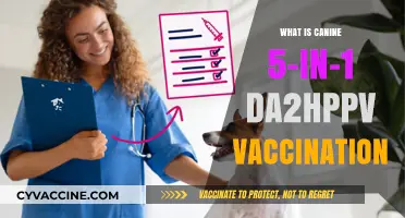 Canine 5-in-1 DA2PPv Vaccination: Essential Protection for Your Dog
