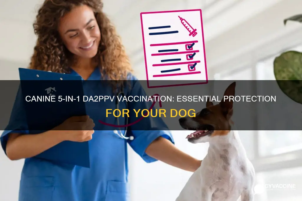 what is canine 5-in-1 da2hppv vaccination