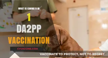 Understanding Canine 5-in-1 DA2PP Vaccination: Essential Protection for Dogs