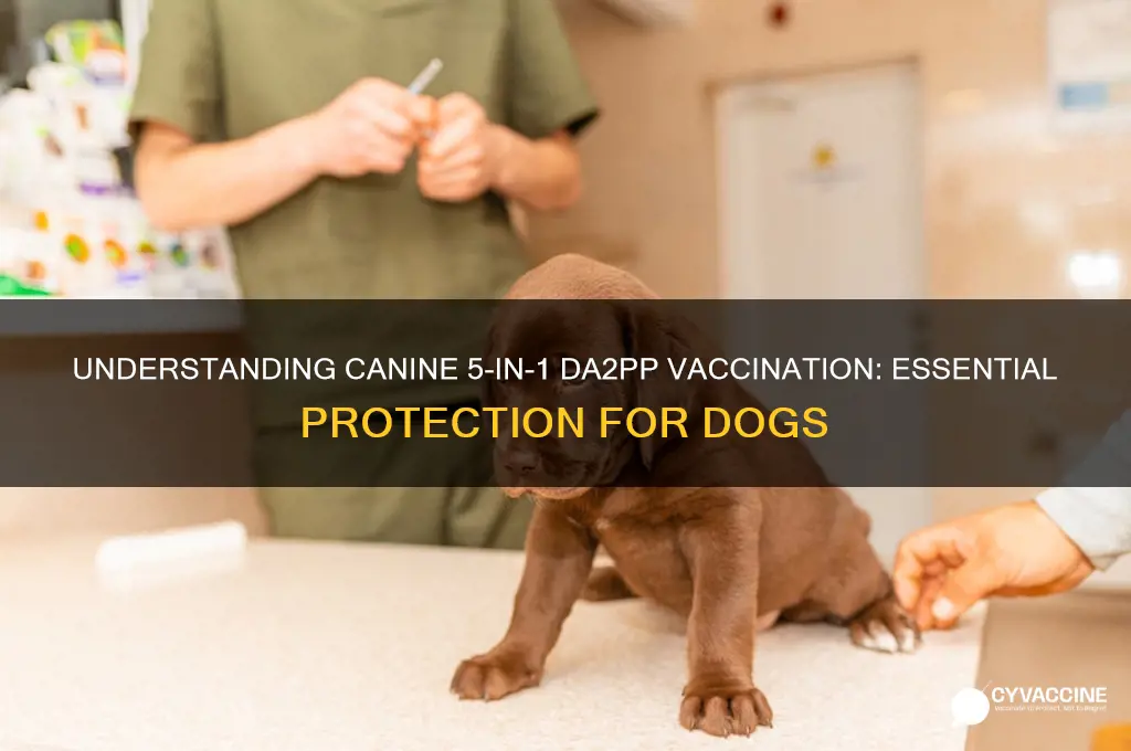 what is canine 5 in 1 da2pp vaccination