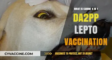 Understanding Canine 6-in-1 DA2PP Lepto Vaccination: A Comprehensive Guide
