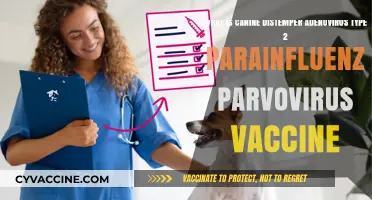 Understanding the 5-in-1 Canine Vaccine: Protecting Dogs from Deadly Viruses