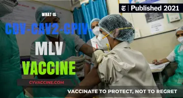 Understanding CDV-CAV2-CPIV-CPV MLV Vaccine: Uses, Benefits, and Importance