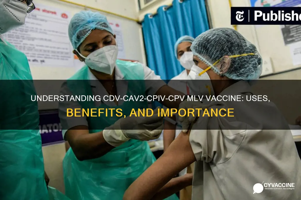 what is cdv-cav2-cpiv-cpv mlv vaccine