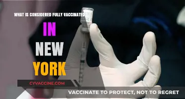 Fully Vaccinated in New York: Understanding the Current Requirements